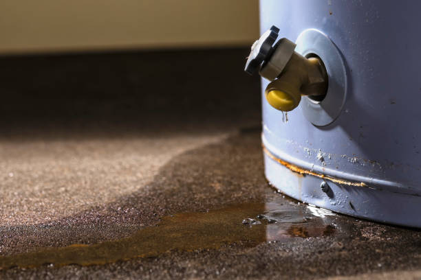 Best Carpet water damage restoration  in Suffern, NY