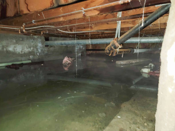 Best Emergency water damage restoration  in Suffern, NY