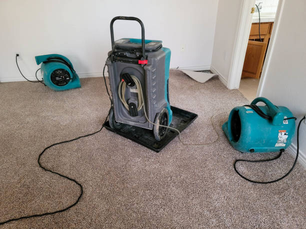 Best Sewage cleanup and water damage restoration  in Suffern, NY