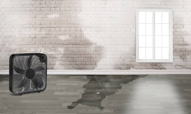 Best 24/7 water damage repair  in Suffern, NY