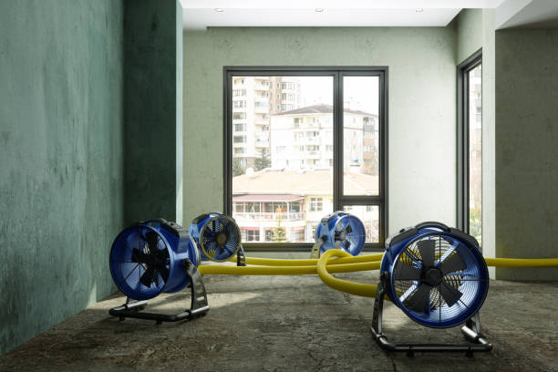 Best 24/7 water damage repair  in Suffern, NY