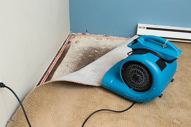 Best Residential water damage restoration  in Suffern, NY